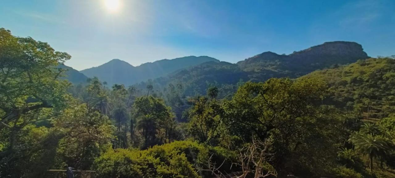 Valley Nest For 6-12 Pax Mount Abu Exterior foto